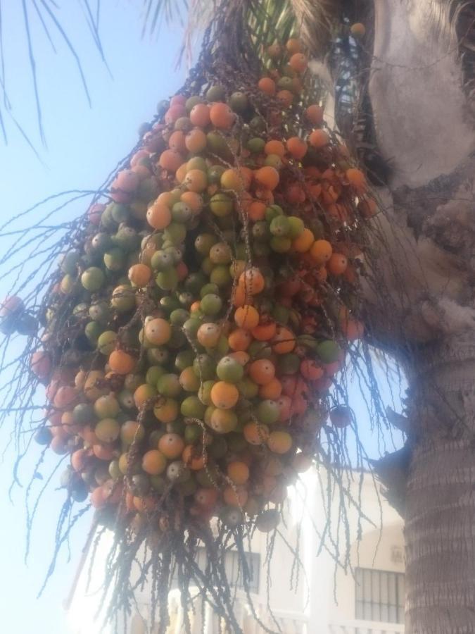Casa Paraiso Benajarafe Dış mekan fotoğraf