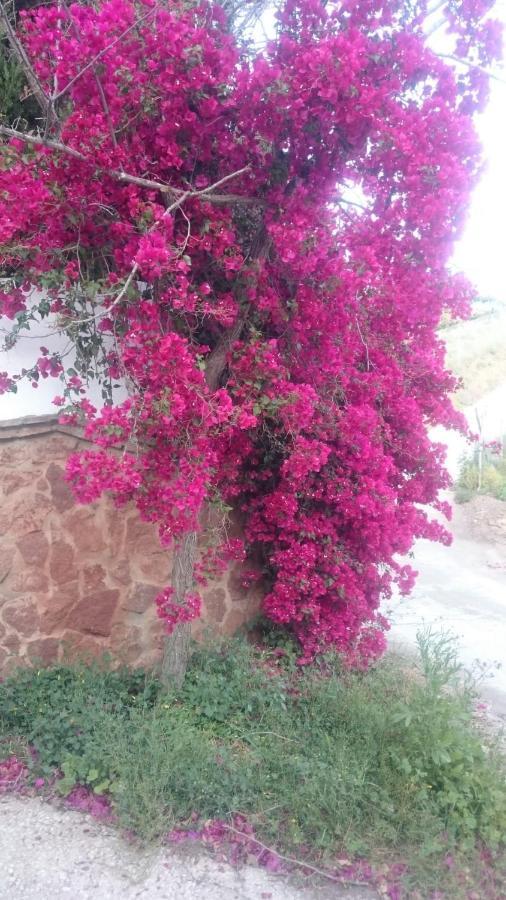 Casa Paraiso Benajarafe Dış mekan fotoğraf